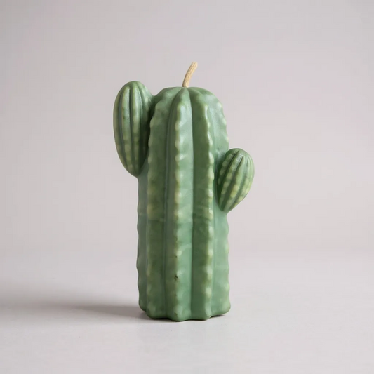 Vela Cacto Verde