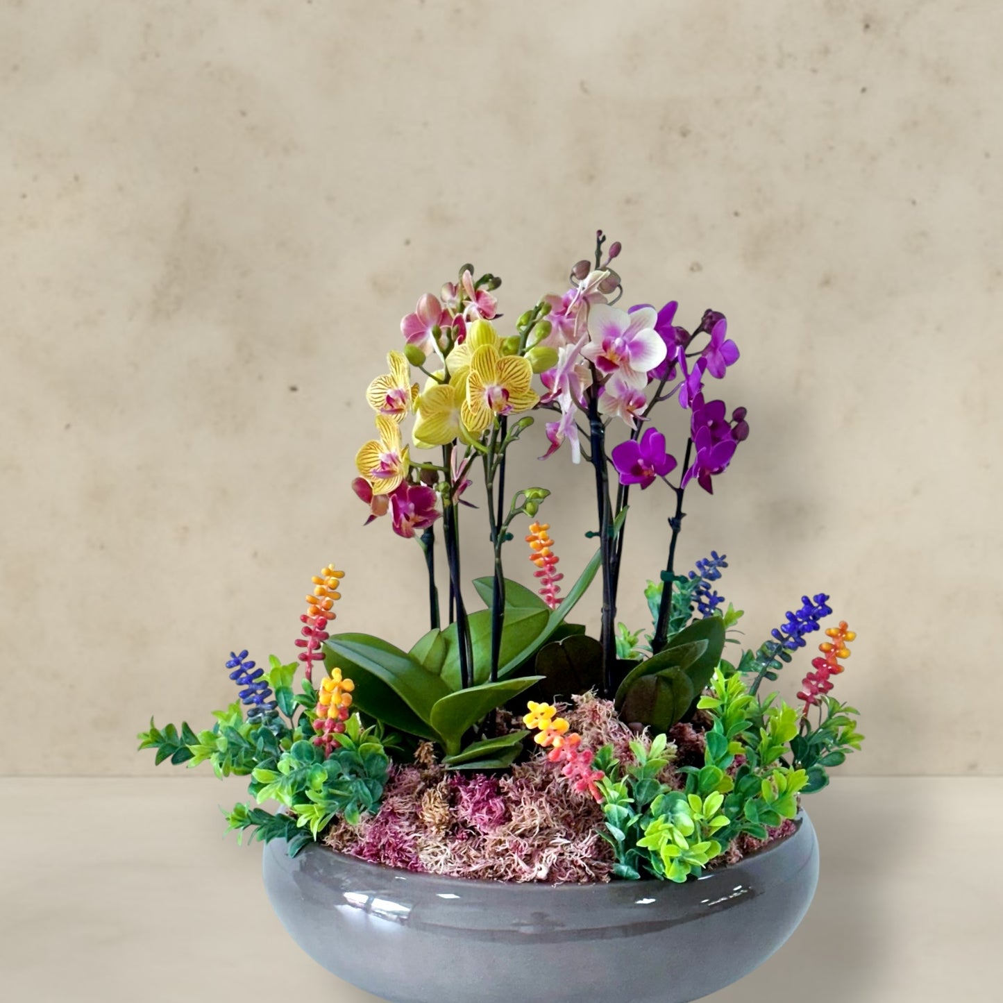 Festa de orquideas