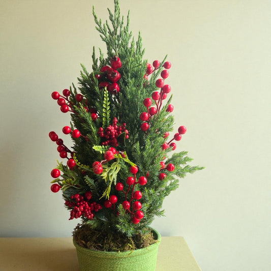 Pinheiro Clássico verde