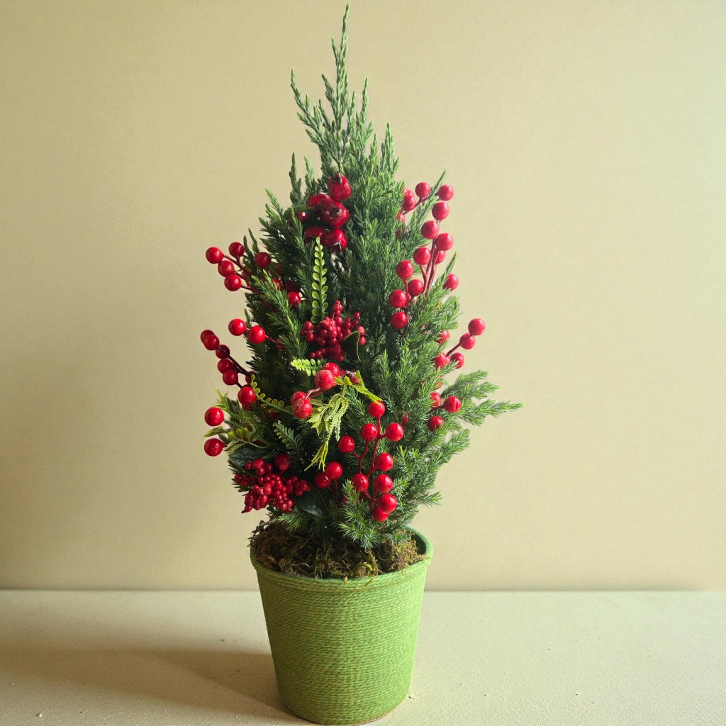 Pinheiro Clássico verde