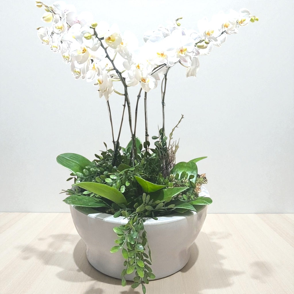 Arranjo de orquídeas grande