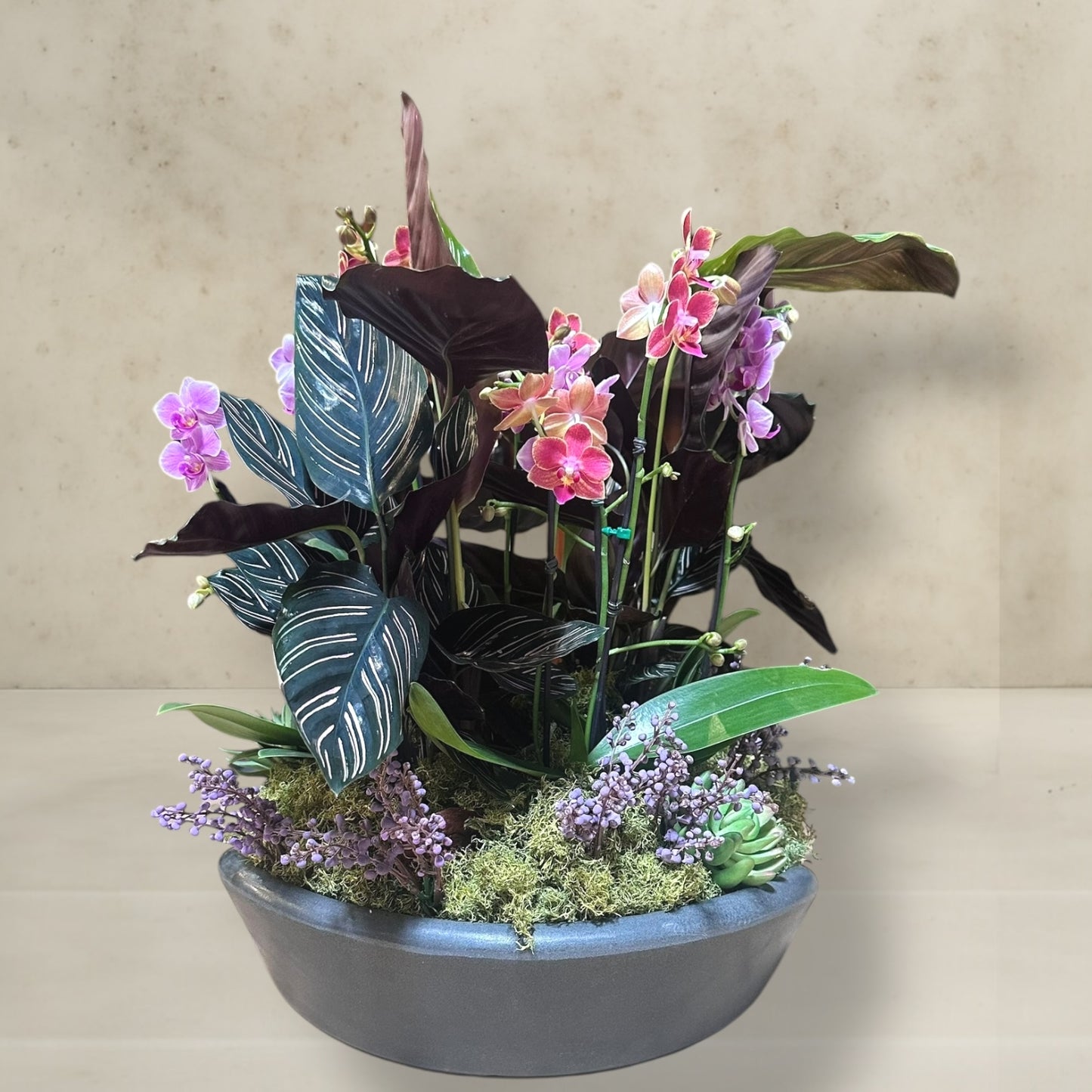 Festa de orquídeas